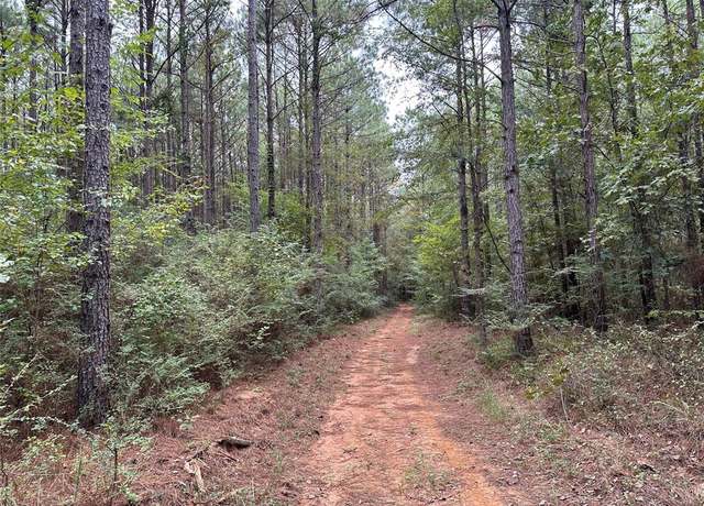 Property at 0 Quarter-mile North of Petty Rd, Bastrop, LA 71220