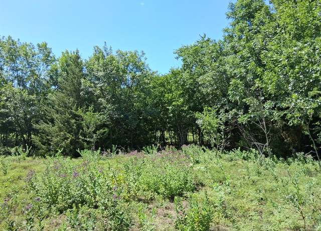 Property at 241 Texas Dr, Palmer, TX 75152