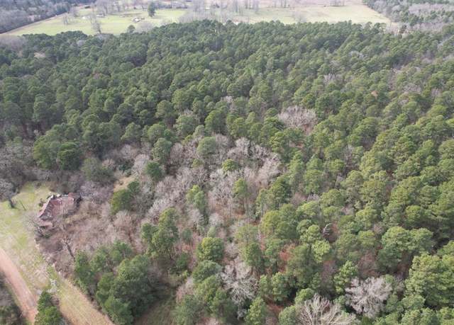Property at TBD County Road 3156, Henderson, TX 75654