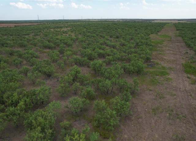 Property at 100+/- Ac TBD Hwy 6, Lueders, TX 79533