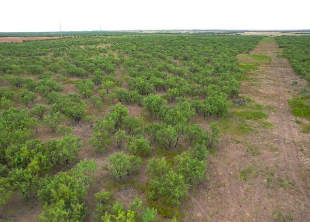 Property at 100+/- Ac TBD Hwy 6, Lueders, TX 79533