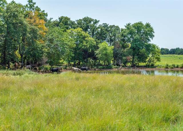 Property at TBD CR 103, Whitesboro, TX 76273