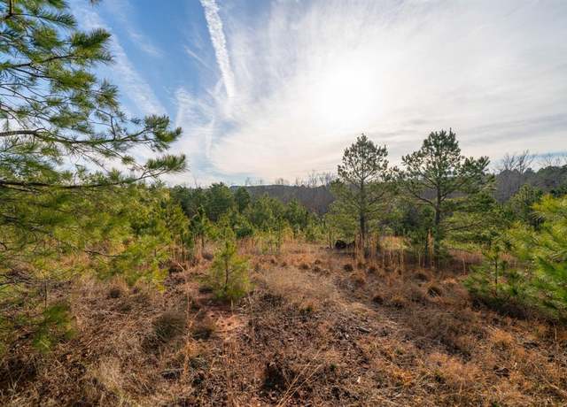 Property at TBD Athens Church Rd, Hallsville, TX 75650