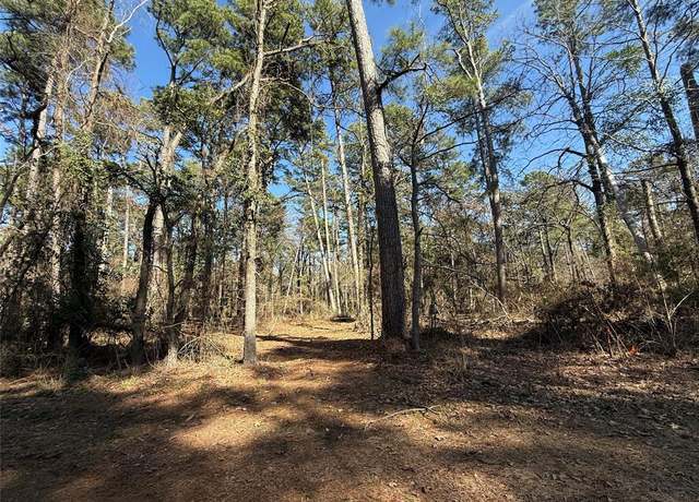 Property at Lot 2 Private Road 8573, Winnsboro, TX 75494