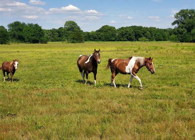 Property at 1170 Cameron Hill Dr, Van Alstyne, TX 75495