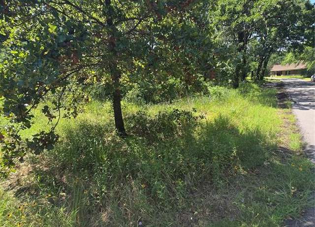 Property at 0 Nina St, Payne Springs, TX 75156