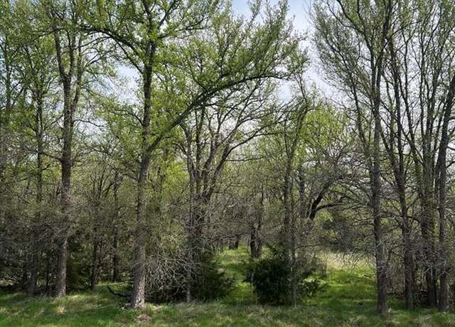 Property at 17944 N 16 Hwy, Graford, TX 76449