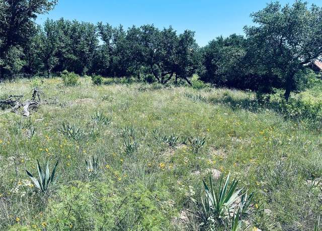 Property at 197 Willie B Dr, Brownwood, TX 76801