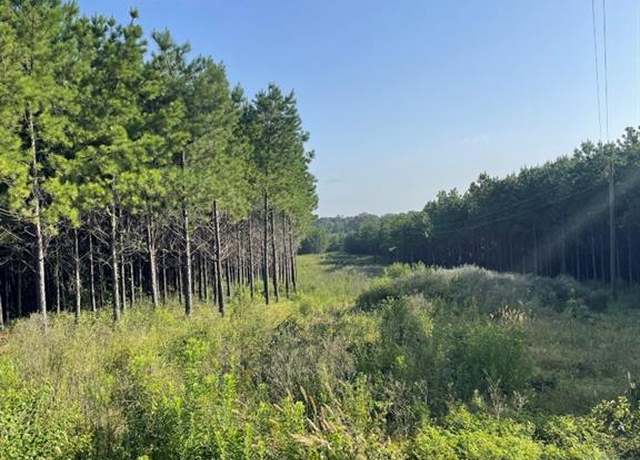 Property at TBD (Lot 45) County Road 1060, Center, TX 75935