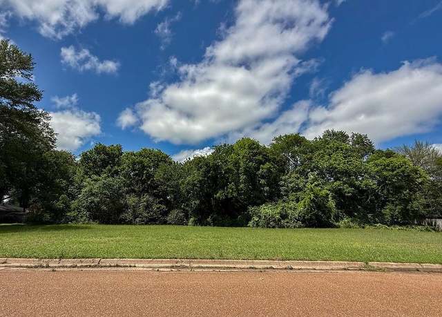 Property at 512 Baber St, Winnsboro, TX 75494