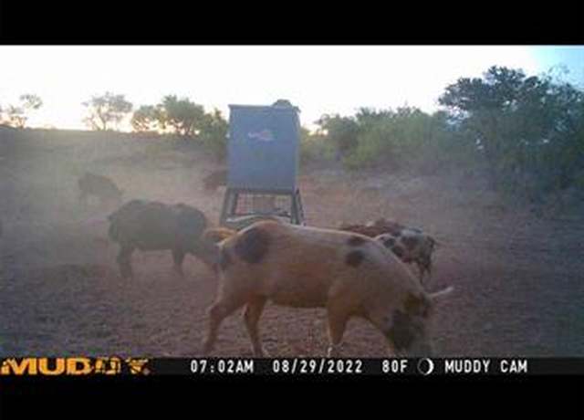 Property at TBD U S Highway 277, Bronte, TX 76933