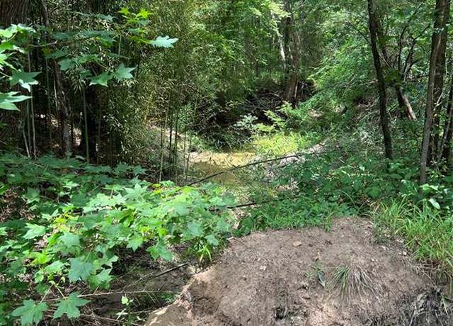 Property at 00 CR 4131, Mount Vernon, TX 75457