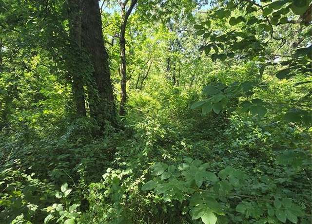 Property at 00 Nina St, Payne Springs, TX 75156