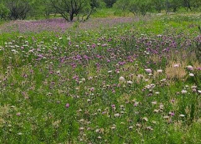 Property at TBD County Road 423, Cisco, TX 76437