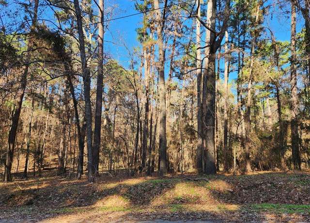 Property at 17498 Pintail Dr, Flint, TX 75762