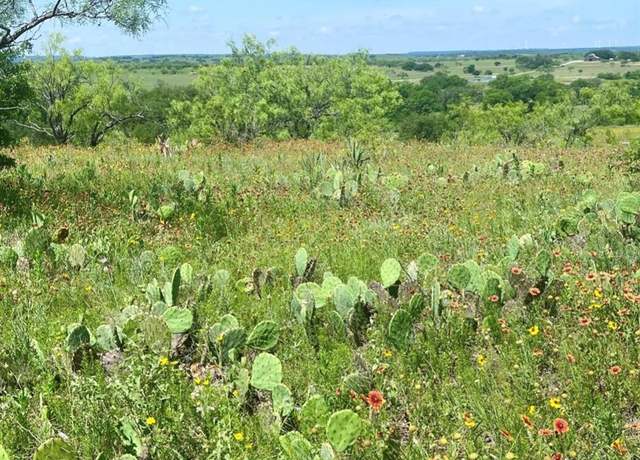 Property at LOT 59 Comanche Lake Rd, Comanche, TX 76442
