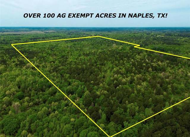 Property at TBD County Road 2742, Naples, TX 75568