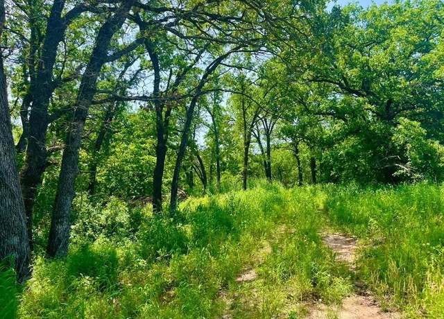 Property at Lot 44 Antrim Ct, Poolville, TX 76487