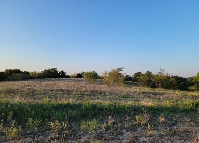 Property at 163 Pecan Grove Dr, Boyd, TX 76023