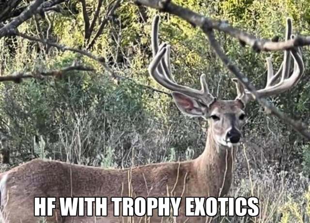 Property at 8500 County Road 121, Cross Cut, TX 76443