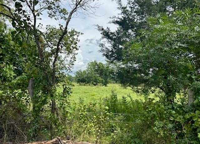 Property at TBD1W County Road 3528, Saltillo, TX 75478