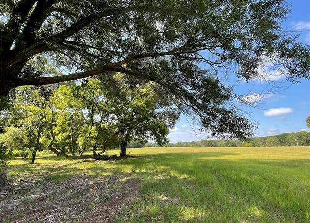 Property at Lot 5B Rains County Road 2420, Alba, TX 75410