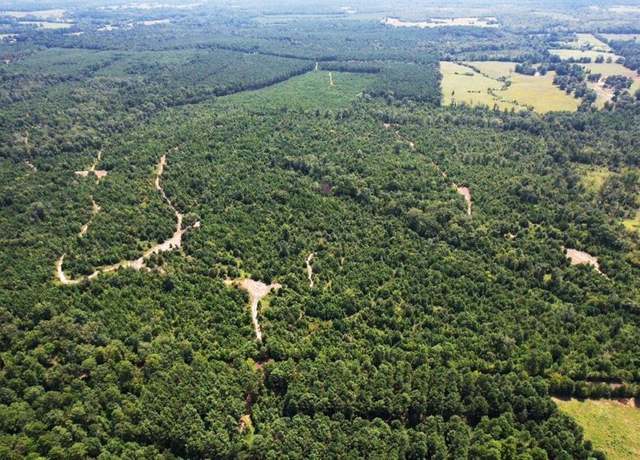 Property at TBD County Road 3163, Laneville, TX 75667
