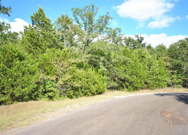 Property at 0 Lot 24 Lcr 910 Dr, Jewett, TX 75846