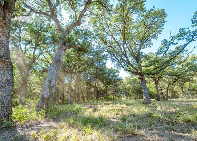 Property at Lot 6 CR 297, Gainesville, TX 76240