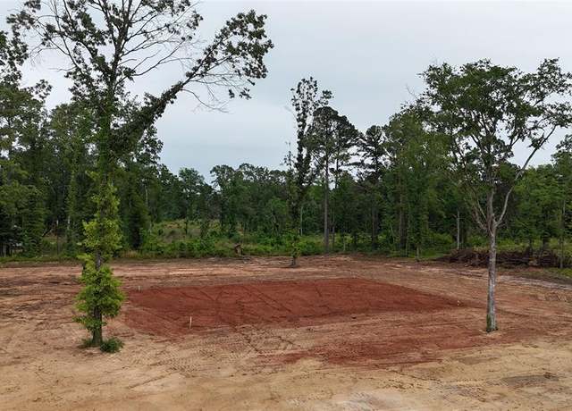 Property at TBD Private Road 1111, Diana, TX 75640