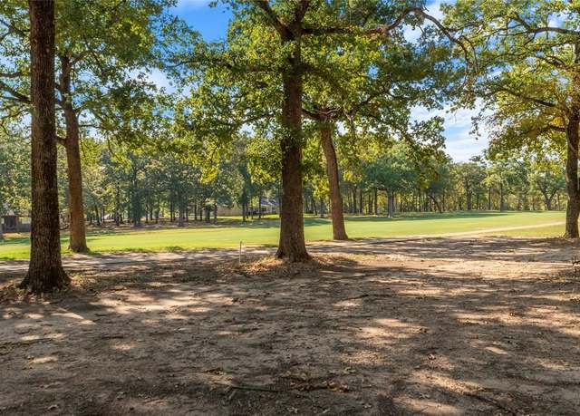 Property at 221 Colonial Dr, Mabank, TX 75156