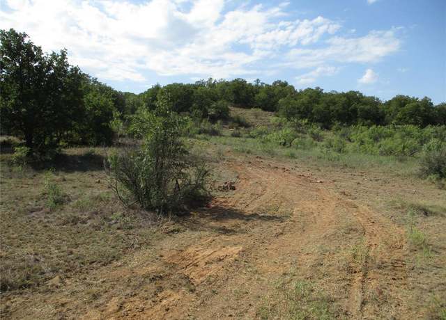 Property at 80 ac Hwy 16, Loving, TX 76460