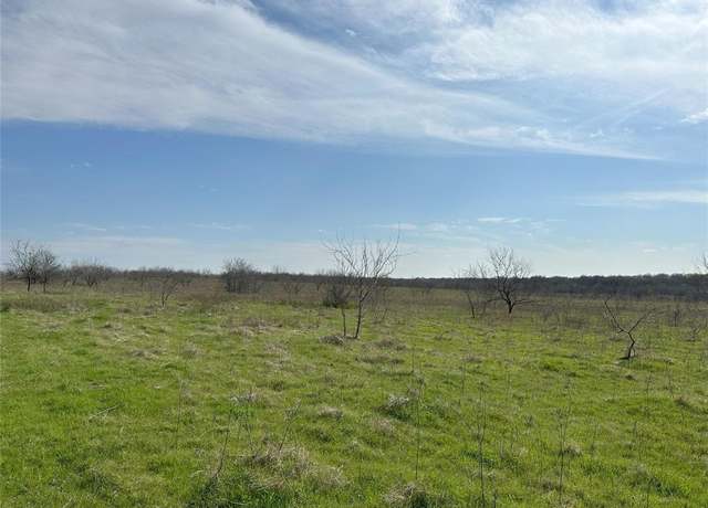 Property at Tract 1C (16.69 acres) SW County Road 2360, Streetman, TX 75859