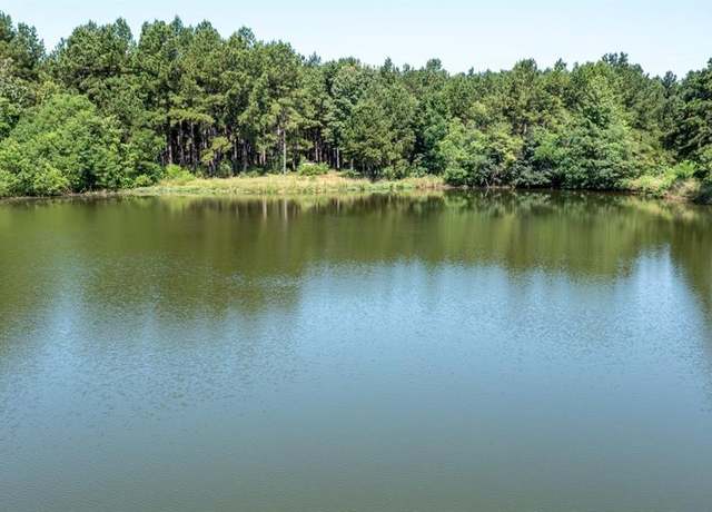 Property at TBD Hwy 84, Timpson, TX 75975