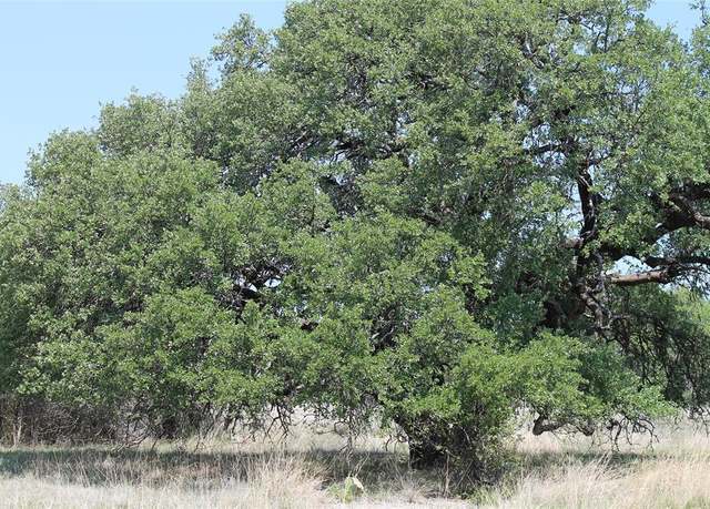 Property at 7048 CR 589, Brownwood, TX 76801