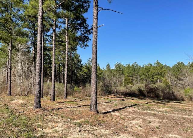 Property at - Louisiana 157 Hwy, Benton, LA 71006