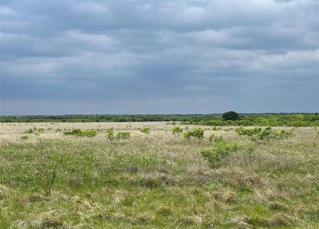 Property at 196 Tbd County Road 196, Gorman, TX 76454