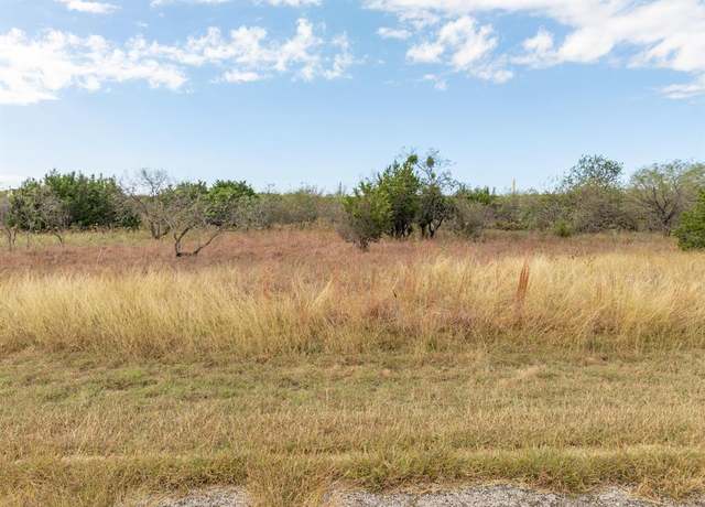 Property at 39213 Shadow Ridge Dr, Whitney, TX 76692