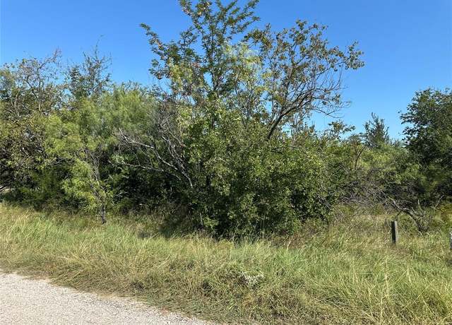 Property at TBD High Bluff Dr, Bridgeport, TX 76426