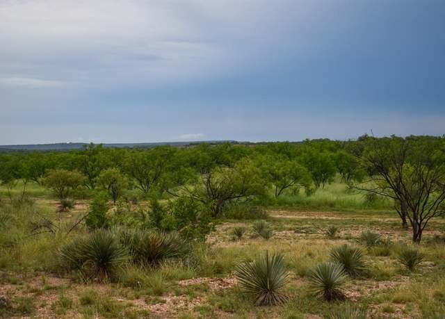 Property at 40 acres E FM 765, Brady, TX 76825