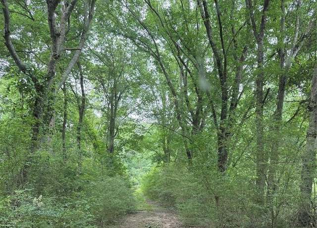 Property at 32 Acres County Road 2324, Como, TX 75431