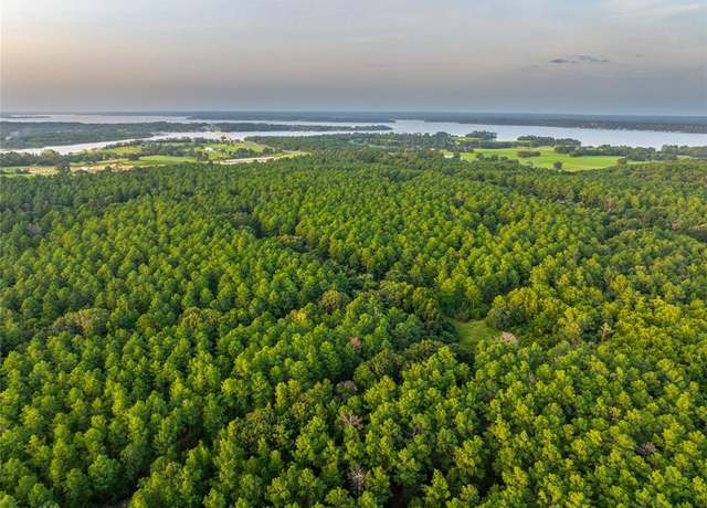 Property at Tract 5 Hwy 155, Frankston, TX 75763