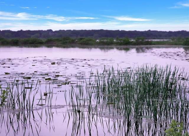 Property at TBD Meridian Ln, Gordonville, TX 76245