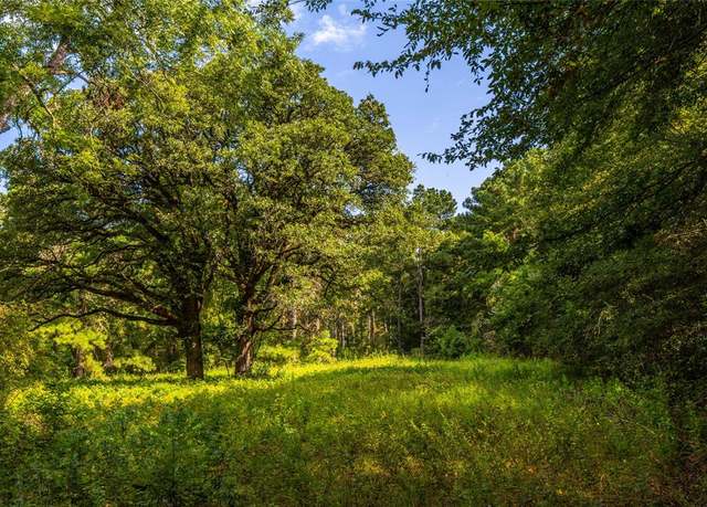 Property at Tract 6 Hwy 155, Frankston, TX 75763