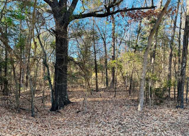 Property at Lot 32 & 33 Winding Ln, Mount Vernon, TX 75457