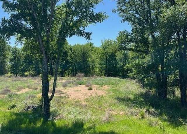 Property at 1008 Bermes Ct, Brock, TX 76087