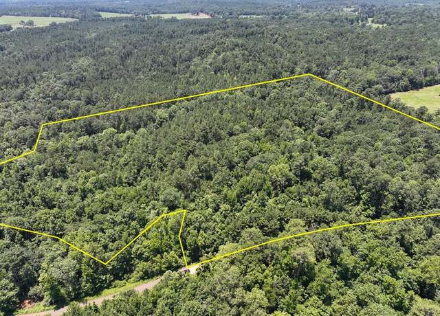 Property at 0 Lick Skillet Rd, No City, TX 75959