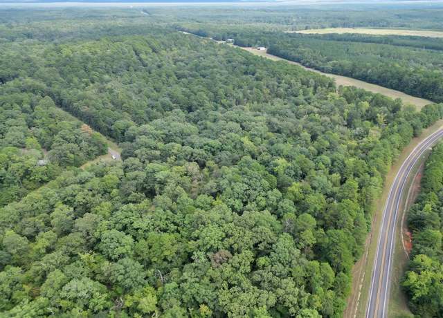 Property at 111 CR 1511, Avinger, TX 75630