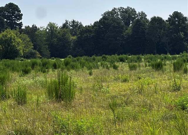 Property at 001 Fm-144, Daingerfield, TX 75638