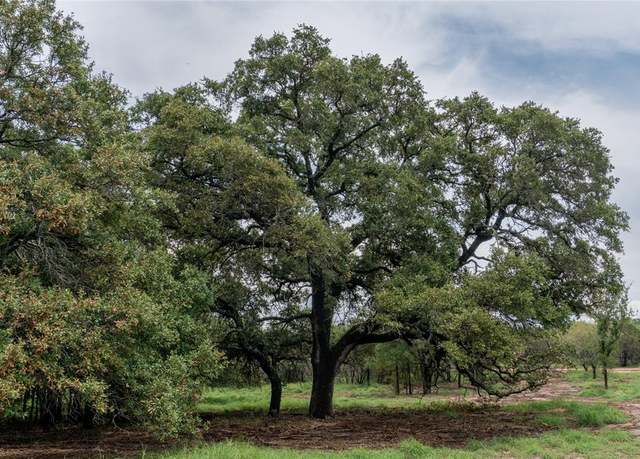 Property at T6 Shiloh Vista Ln, Tolar, TX 76476